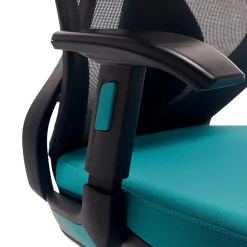 Beautyrest Duo-EX Ergonomic Mesh Swivel Computer Chair, Teal (60051-TEL)