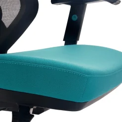 Beautyrest Duo-EX Ergonomic Mesh Swivel Computer Chair, Teal (60051-TEL)