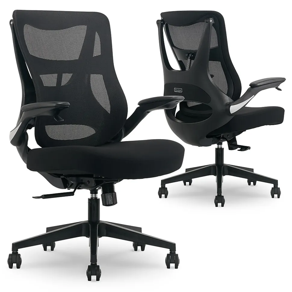 Beautyrest ErgoMax Ergonomic Mesh Swivel Task Chair, Black (60078-BLK)