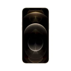 Belkin SCREENFORCE TemperedGlass Privacy Protector for iPhone 12 Pro Max (OVA031zz)