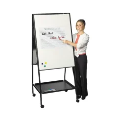 Best-Rite Wheasel Dry/Wet Erase Easel, 65