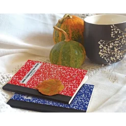 Better Office Mini Composition Notebooks, 3.25