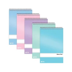Better Office Steno Pads, 6" x 9", Gregg-Ruled, Assorted Colors, 80 Sheets/Pad, 10 Pads/Pack (25810-10PK)