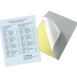 Blanks USA Kan't Kopy 8.5" x 11" Carbonless Security Paper, 20 lbs., Blue, 2500 Sheets/Carton (KC2CA1VBL)