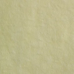 Brawny Professional Nylon Dusting Wipers, 24