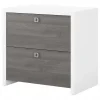 Bush Business Furniture Echo 2 Drawer Lateral File Cabinet, Pure White/Modern Gray (KI60502-03)