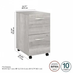 Bush Business Furniture Studio A 2-Drawer Mobile Vertical File Cabinet, Letter/Legal Size, Lockable, Platinum Gray(SDF116PGSU-Z)