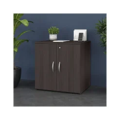 Bush Business Furniture Studio C 30" Storage Cabinet with 2 Shelves, Storm Gray (SCS130SG)