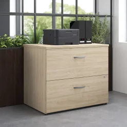 Bush Business Furniture Studio C 2 Drawer Lateral File Cabinet, Natural Elm (SCF136NESU)
