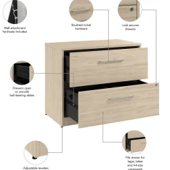 Bush Business Furniture Vista 2 Drawer File Cabinet, Natural Elm (VSF136NESU)