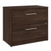 Bush Business Furniture Vista 2 Drawer File Cabinet, Black Walnut (VSF136BWSU)