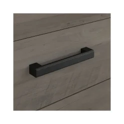 Bush Furniture City Park 2 Drawer Mobile File Cabinet, Driftwood Gray (CPF116DG-03)