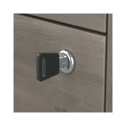 Bush Furniture Homestead 2-Drawer Lateral File Cabinet, Letter/Legal Size, Lockable, Driftwood Gray (HOF129DG-Z)