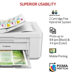 Canon PIXMA TR4720 Wireless Color Inkjet Printer, All-In-One, Print, Scan, Copy, Fax (TR4720 WHITE)