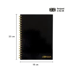 Carpe Diem 1-Subject Notebook, 7.5" x 9.75", Wide-Ruled, 80 Sheets, Black (9375-CD)