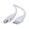 C2G Cables to Go 6.6' USB A to USB B Cable, Male to Male, White (13172)
