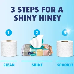 Charmin Flushable Wipes, White, 40 Sheets/Pack, Pack of 4 (79619)