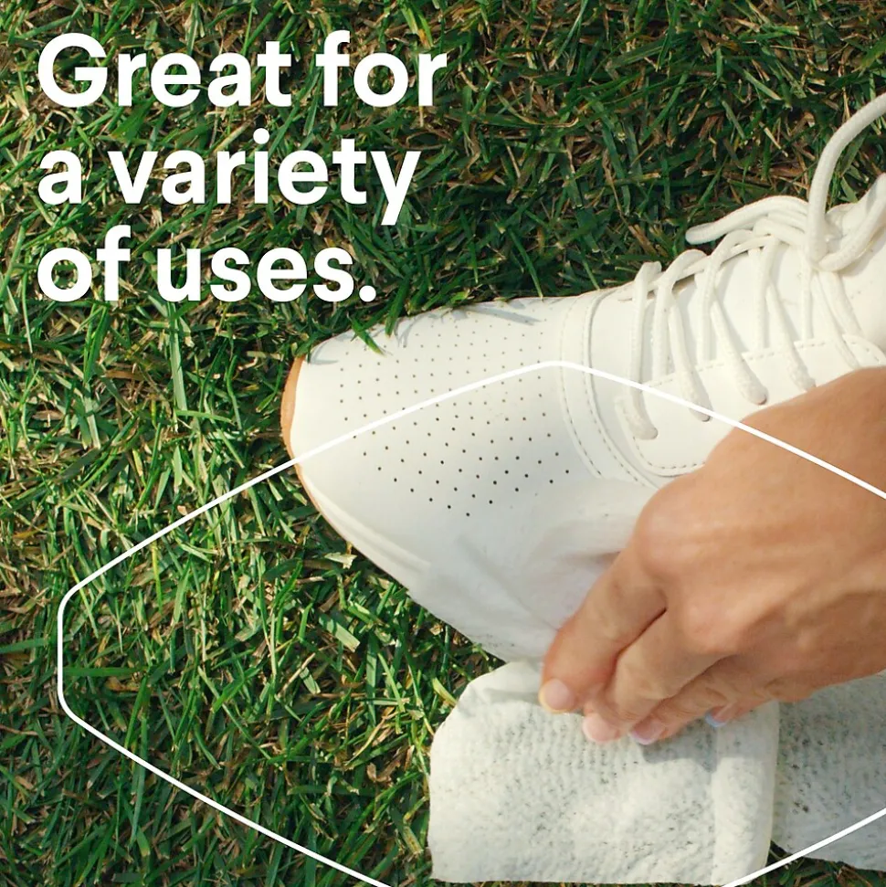 Clorox Disinfecting Wipes, Fresh Scent, 35 Wipes/Container (01593)