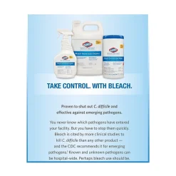 Clorox Healthcare Bleach Germicidal Cleaner Spray, 22 Ounces (68967)