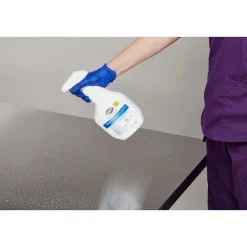 Clorox Healthcare Bleach Germicidal Cleaner Spray, 22 Ounces (68967)