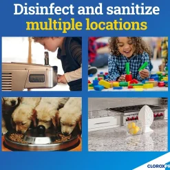 CloroxPro Anywhere Daily Disinfectant and Sanitizer, 32 fl. oz. (01698)