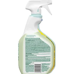 CloroxPro Clorox EcoClean Disinfecting Cleaner, 32 Oz. (60213)