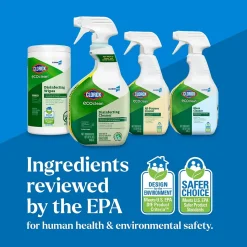 CloroxPro Clorox EcoClean Disinfecting Cleaner, 32 Oz. (60213)