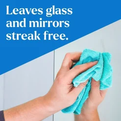 CloroxPro Clorox EcoClean Glass Cleaner, 32 Oz. (60277)