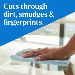 CloroxPro Clorox EcoClean Glass Cleaner, 32 Oz. (60277)