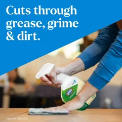 CloroxPro EcoClean All-Purpose Cleaner Spray Bottle, 32 fl. oz. (60276)