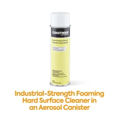 Coastwide Professional™ General-Purpose Cleaner, 19 Oz., 6/Carton (CW58495-A)