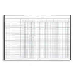 Columnar Book, 12-Columns, 7.25" x 9.5", Blue Marble, 40 Sheets/Book (217976ABF)