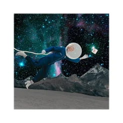 Copper Moon Tropical Coconut Variety Pack Beans Coffee, Medium Roast, 32 oz. (260164 - BAG)