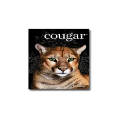Cougar 65 lb. Cover Paper, 8.5" x 11", White, 250 Sheets/Pack (2985)