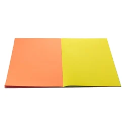 Crayola Project Giant 12