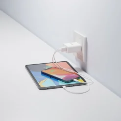 Cygnett PowerPlus 38-Watt Dual Port Wall Charger, White (CY3887POFLW)