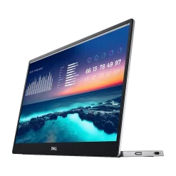 Dell 14" LCD Monitor, Black/Gray (P1424H)