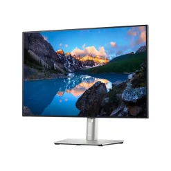 Dell UltraSharp 24" 60 Hz LCD Business Monitor, Silver/Black (U2421ENK)