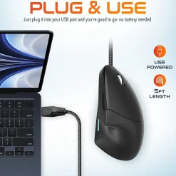 Delton Ergonomic 12 Optical USB Mouse, Black (DMERG12-U)