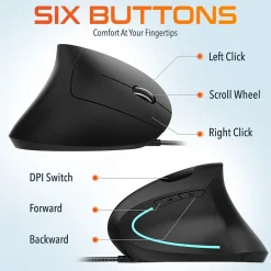 Delton Ergonomic 12 Optical USB Mouse, Black (DMERG12-U)