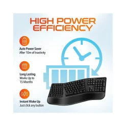 Delton G20 Wireless Ergonomic Computer Keyboard and Optical Mouse Combo, Black (DKMKITERG20-WB)