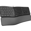Delton KB250 Ergonomic Keyboard, Black (DKBE250-U)