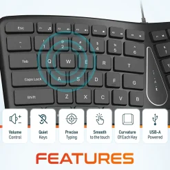 Delton KB250 Ergonomic Keyboard, Black (DKBE250-U)