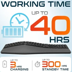 Delton KB250 Ergonomic Wireless Curved Keyboard with Cushioned Wrist Rest, Black (DKBE250-WR)