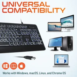 Delton KB20 Large Button/Key Keyboard with Backlight, Black (DBKBG20)