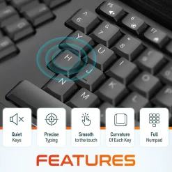 Delton KB200 Wireless Ergonomic Keyboard, Black (DKBERG24G8-WB)