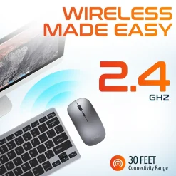 Delton N35 Portable/Travel/Small Wireless Keyboard and Mouse Combo, Silver (DKMKITMIN35-WB)