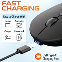 Delton S16 Wireless Ambidextrous Optical 2.4 GHz Mouse, Black (DMS16-WR)