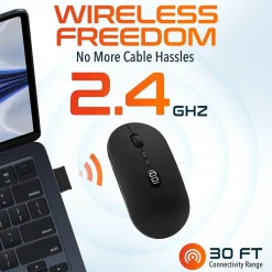 Delton S16 Wireless Ambidextrous Optical 2.4 GHz Mouse, Black (DMS16-WR)