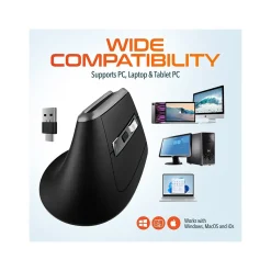 Delton S20 Wireless Optical Mouse, Black (DMS20-WB)